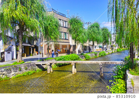 京都市東山区の白川に掛かる一本橋と柳並木の風景 京都市東山区の白川に掛かる一本橋と柳並木の風景 85310910