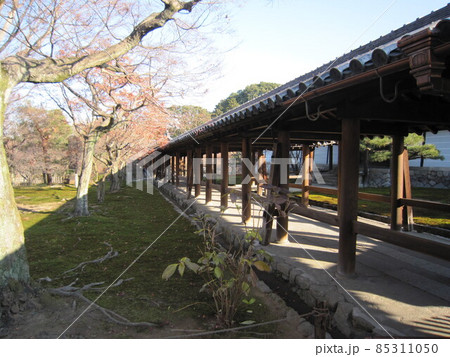 東福寺 橋廊 東福寺 橋廊 85311050