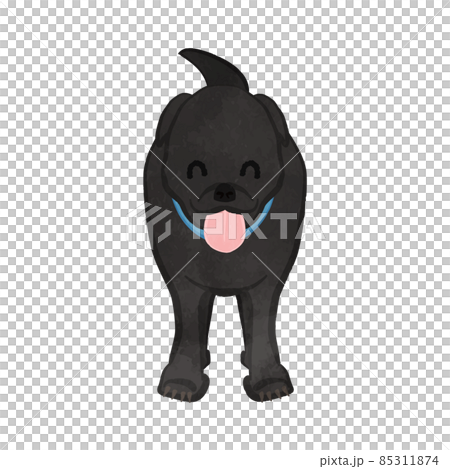 Cute American smiling hunting dog Black dog Ver Cute American smiling hunting dog Black dog Ver 85311874