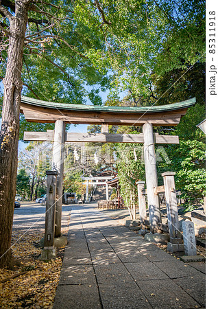 大田区雪ヶ谷八幡神社 大田区雪ヶ谷八幡神社 85311918