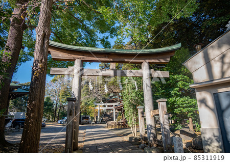 大田区雪ヶ谷八幡神社 大田区雪ヶ谷八幡神社 85311919