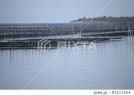 大牟田市 有明海 海苔畑、 大牟田市 有明海 海苔畑、 85313404