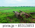 野原と廃材 85313853