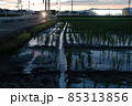 夕暮れの水田 85313856