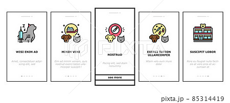 Hospital Pet Health Examination Onboarding Icons Set Vector 85314419