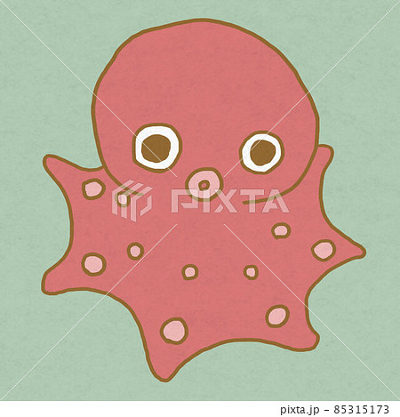タコのイラスト 動物・海の生き物アイコン タコのイラスト 動物・海の生き物アイコン 85315173
