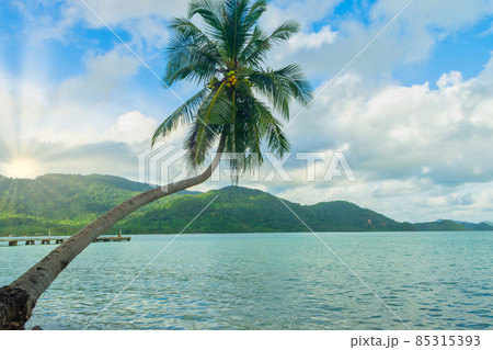 View of coconut trees and the sea on Koh Chang 85315393