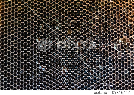 Honeycomb from bee hive filled with golden honey 85316414