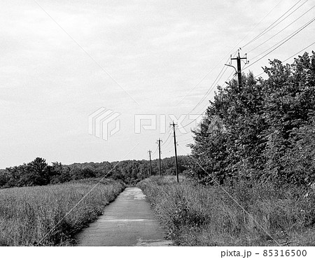 Beautiful empty asphalt road in countryside on colored background Beautiful empty asphalt road in countryside on colored background 85316500