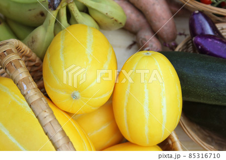 Summer Vegetable Harvest - Ginkaku Korean Melons with Eggplants and Sweet Potato Summer Vegetable Harvest - Ginkaku Korean Melons with Eggplants and Sweet Potato 85316710