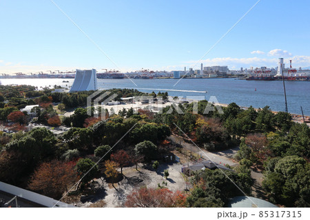 お台場　潮風公園　遠景（2021年11月） 85317315