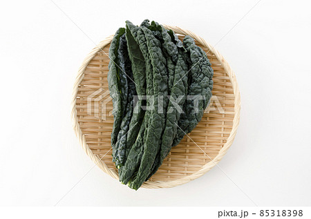 黒キャベツ 85318398