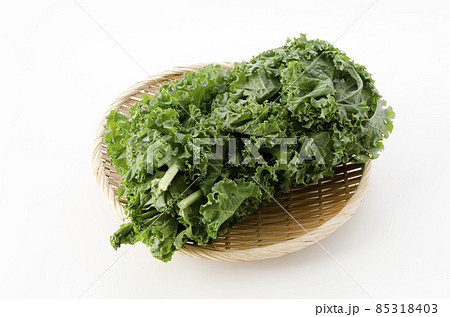 ケール ケール 85318403