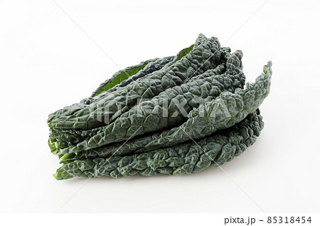 黒キャベツ 黒キャベツ 85318454