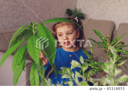 little girl in blue dress holding green leaf avocado from yellow watering can at home little girl in blue dress holding green leaf avocado from yellow watering can at home 85318655