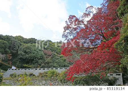 帯石観音の紅葉 帯石観音の紅葉 85319134