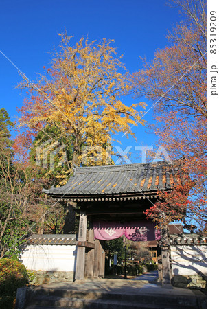 龍福寺の紅葉 龍福寺の紅葉 85319209