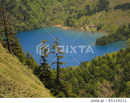 初夏を迎えた裏志賀山からの大沼池 初夏を迎えた裏志賀山からの大沼池 85319211