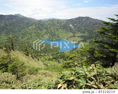 初夏を迎えた裏志賀山からの大沼池 初夏を迎えた裏志賀山からの大沼池 85319214
