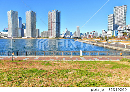 春海橋公園より晴海臨海公園方面を望む(東京都江東区)【2021.12】 春海橋公園より晴海臨海公園方面を望む(東京都江東区)【2021.12】 85319260