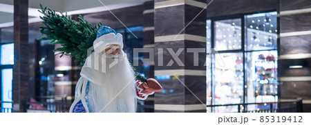 Russian santa claus carries a christmas tree outdoors. 85319412
