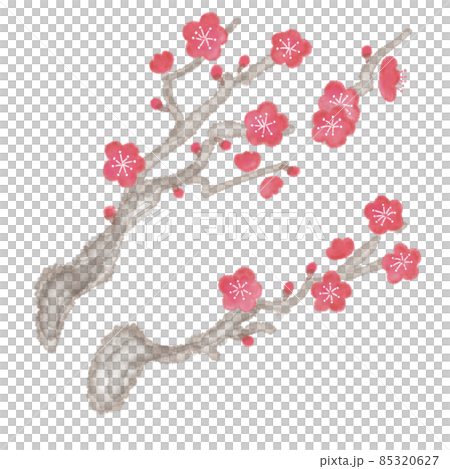 竹枝 竹枝 85320627