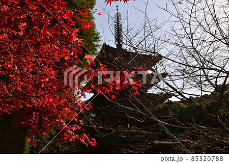 醍醐寺 醍醐寺 85320788
