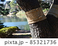 こも巻き 85321736