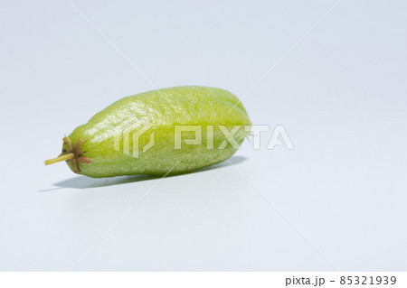 Bilimbi white background 85321939