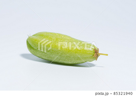 Bilimbi white background 85321940