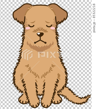 落ち込むアイリッシュテリア 落ち込むアイリッシュテリア 85322218