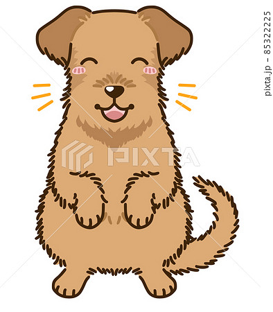 喜ぶアイリッシュテリア 喜ぶアイリッシュテリア 85322225