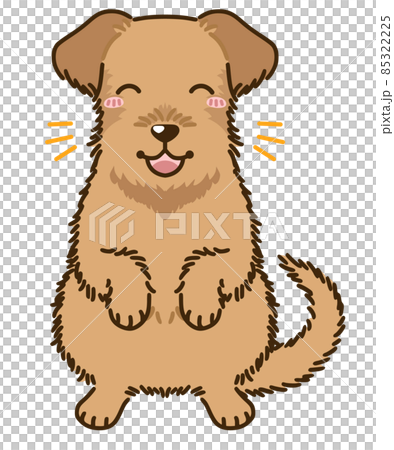 喜ぶアイリッシュテリア 喜ぶアイリッシュテリア 85322225