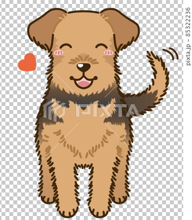 Natsuki Airedale Terrier (Welsh Terrier) Natsuki Airedale Terrier (Welsh Terrier) 85322236
