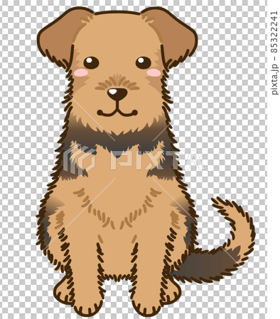 Airedale Terrier (Welsh Terrier) Airedale Terrier (Welsh Terrier) 85322241