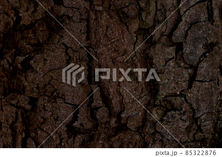dark brown tree bark background 85322876