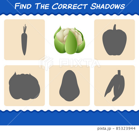 Find the correct shadows of cartoon cauliflower. Searching and Matching game. Educational game for pre shool years kids and toddlers 85323944