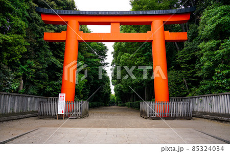 赤い大鳥居 井草八幡宮（東京都杉並区） 85324034