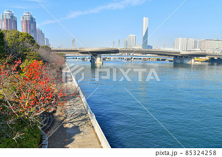 あけみ橋／有明西運河より夢の大橋方面を望む(東京都港区)【2021.12】 85324258