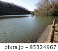 午後の湖にて 85324967