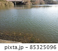 午後の湖にて 85325096