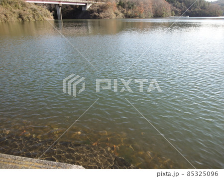 午後の湖にて 午後の湖にて 85325096