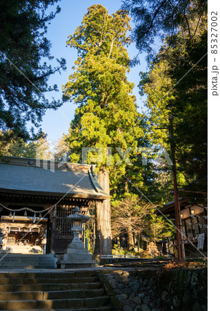【山梨県】 河口浅間神社 【山梨県】 河口浅間神社 85327002