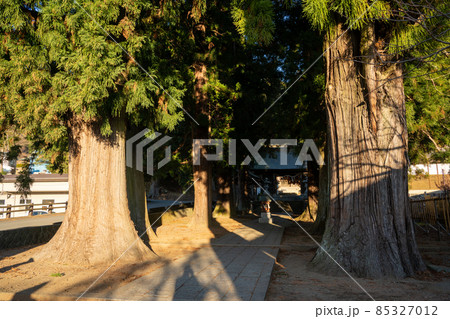 【山梨県】　河口浅間神社 85327012