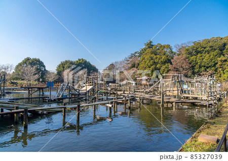 清水公園　フィールドアスレチック水上コース 85327039