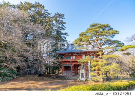 清水公園　慈光山金乘院・仁王門 85327063