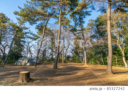 清水公園 キャンプ場 オートキャンプ ソロキャンプ 清水公園 キャンプ場 オートキャンプ ソロキャンプ 85327242