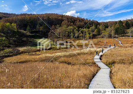 写真素材:秋の入笠湿原にて-4 写真素材:秋の入笠湿原にて-4 85327625