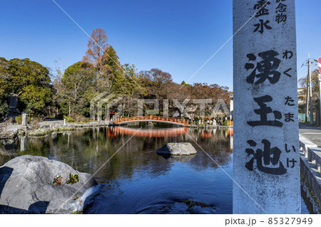 静岡県富士宮市にある富士山本宮浅間大社の湧玉池 静岡県富士宮市にある富士山本宮浅間大社の湧玉池 85327949