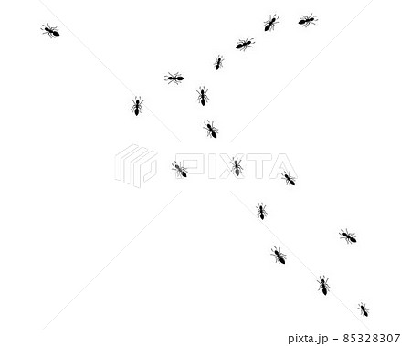 Ant Logo template vector illustration Ant Logo template vector illustration 85328307